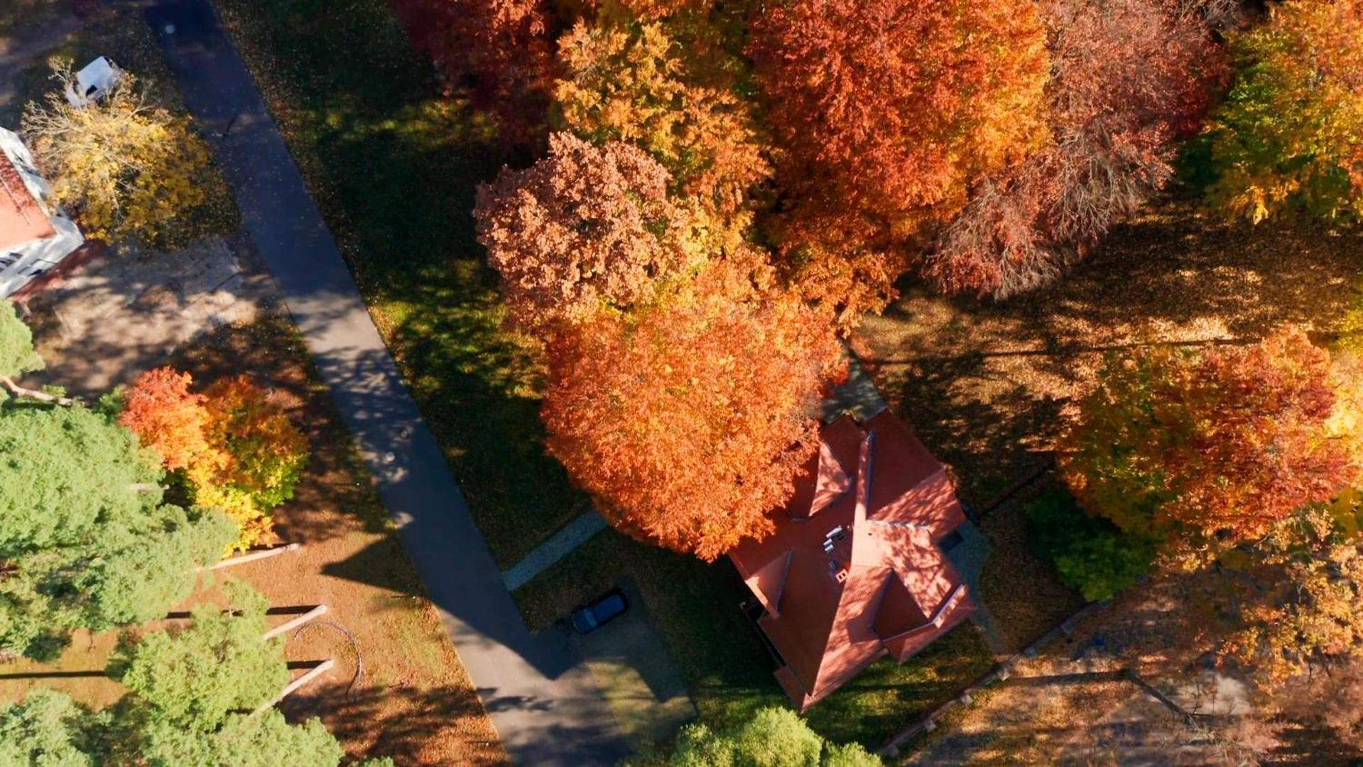 Parkresidenz Lychen, Ferienwohnung 4 Екстер'єр фото
